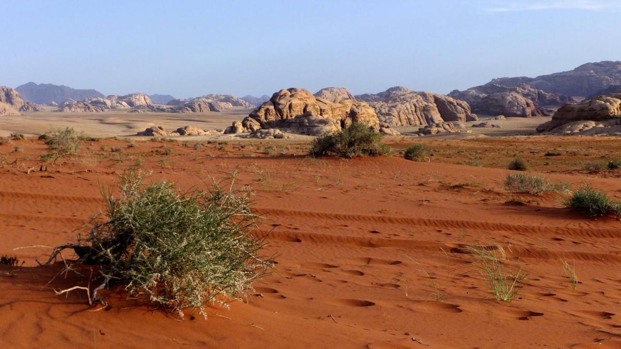 Salem Camp Hotel Wadi Rum Luaran gambar