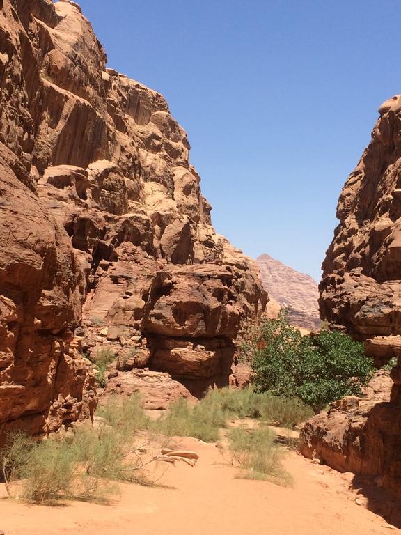 Salem Camp Hotel Wadi Rum Luaran gambar